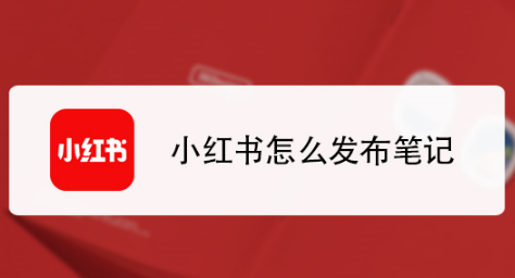 小红书笔记