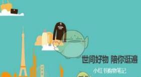 小红书内容运营: 小红书怎么衡量优质内容的维度?