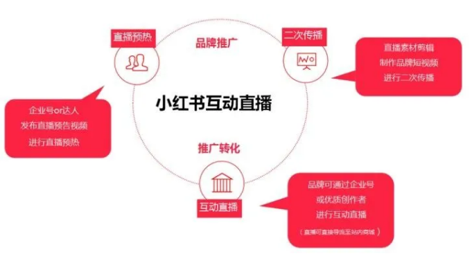 小红书直播