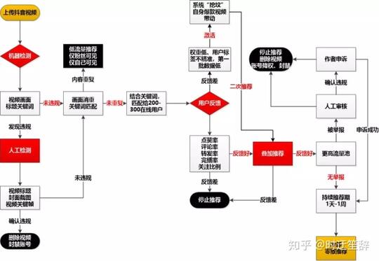 电商商家玩抖音，抖音的推荐算法需要这个！