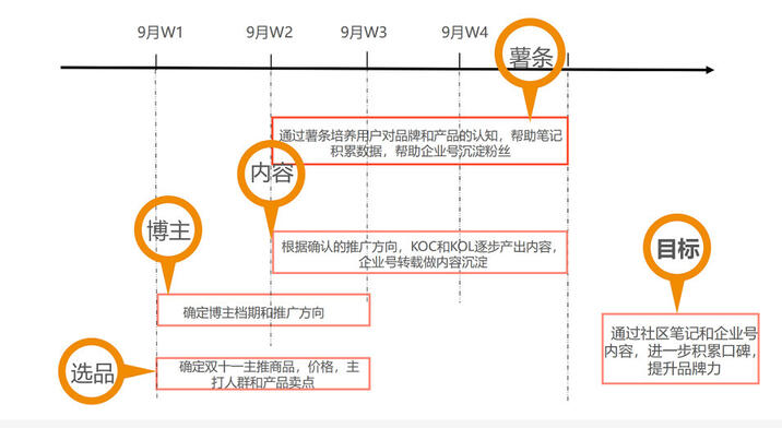 双十一小红书种草实战攻略