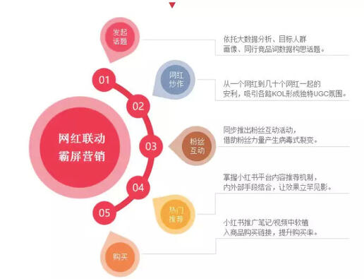 玩转社交电商，小红书种草六五攻略