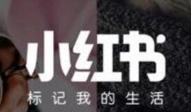 小白必学的小红书运营技巧,助你早日10w+!