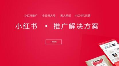 发小红书笔记有收入吗? 从0开始写小红书笔记!